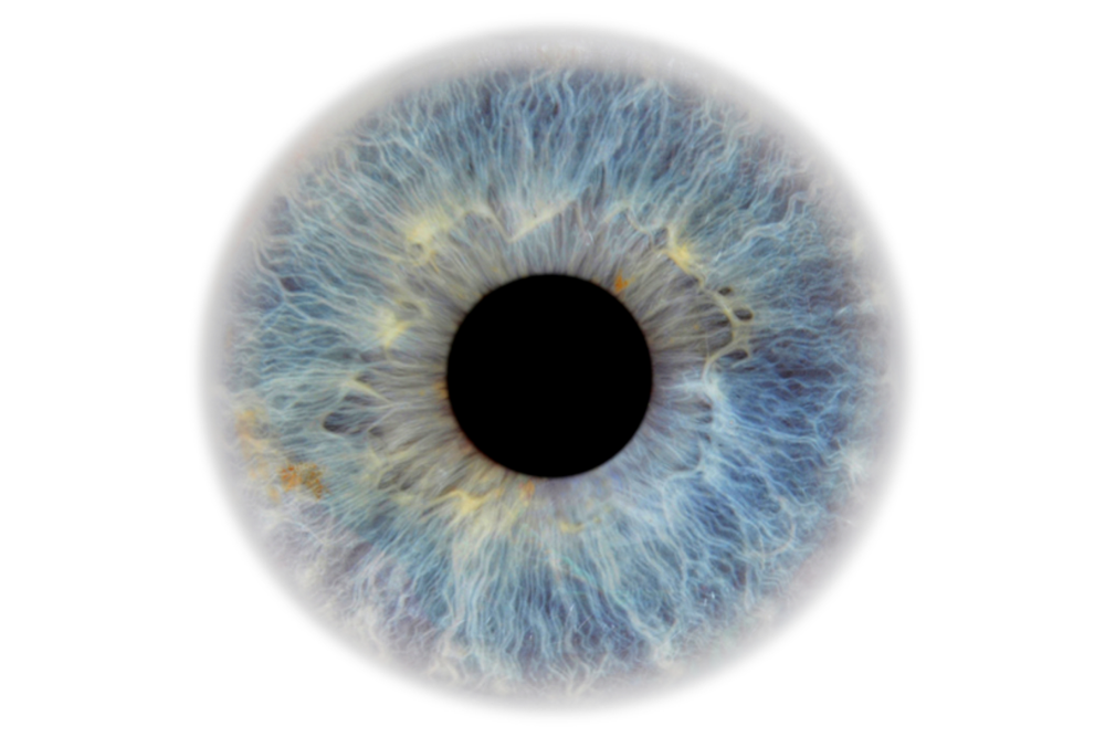 Image for Eye Problems:  Retinopathy and eye screening
